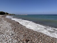 IMG_4387