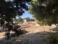 IMG_4578
