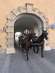 IMG_4883
