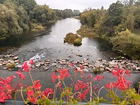 IMG_4936
