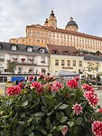 IMG_4979