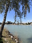 IMG_5010