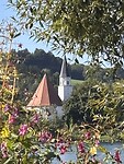 IMG_5099