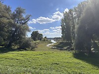 IMG_5102