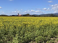 IMG_5104