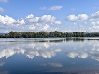 IMG_5146
