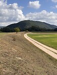 IMG_5151