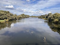 IMG_5223