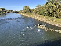 IMG_5239
