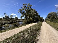 IMG_5246