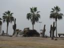 The beach