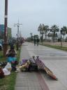 Iquique