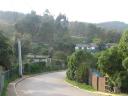 Cachagua