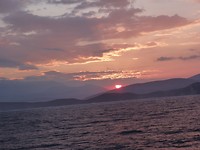 P1000302