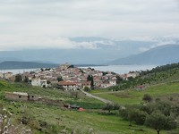 P1000354