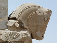 P1010649