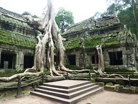 P1040723