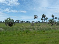 P1130832