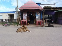 P1130833