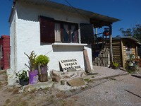 P1130836