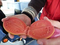 P1160212