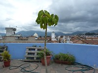 P1160267