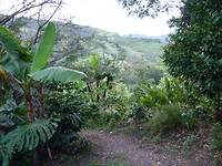 P1160270