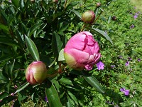 P1160954