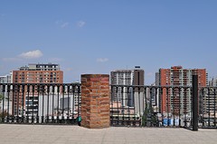 DSC_0305 (2)