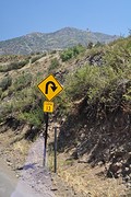 DSC_0358 (3)