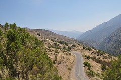 DSC_0359 (2)
