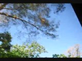 Jacó - Puntarenas
