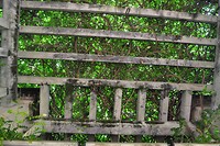 Doña Casilda de Iturrizar Park