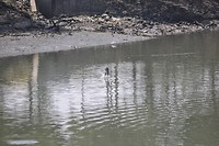 visje vangen