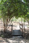 Bosque Cerro Blanco