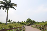 Isla Santay