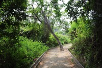 Isla Santay