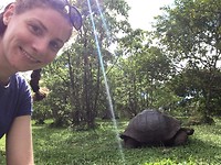 Giant Tortoise