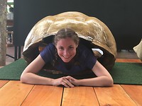 Tortoise schild