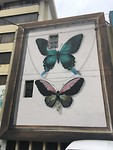 streetart