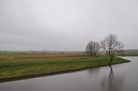 Het Bossche Broek