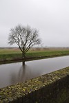 Het Bossche Broek