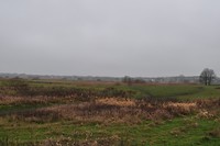 Het Bossche Broek