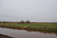 Het Bossche Broek