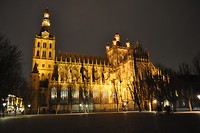 Sint-Janskathedraal bij nacht