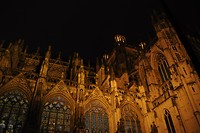 Sint-Janskathedraal bij nacht