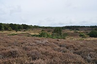Veluwezoom