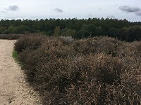 Veluwezoom