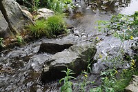 Sonsbeekpark