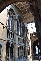 Natural History Museum